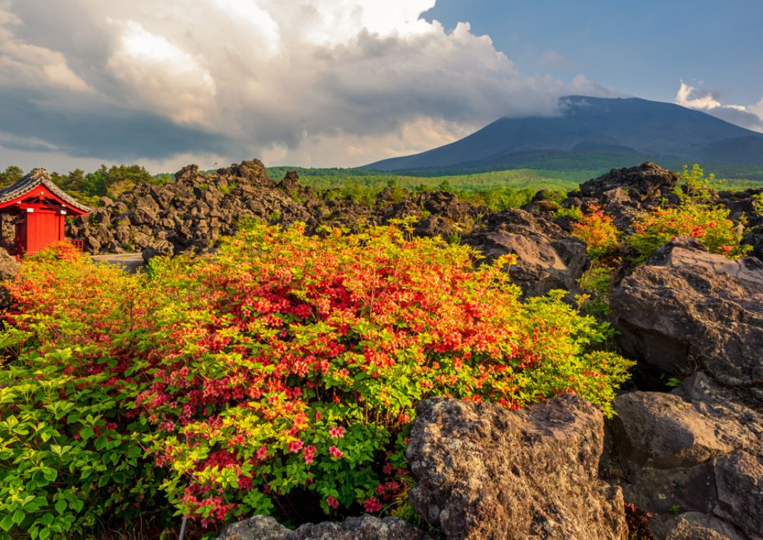 Vulkanske steiner i Onioshidashi-parken, i nærheten av Mount Asama, Japan