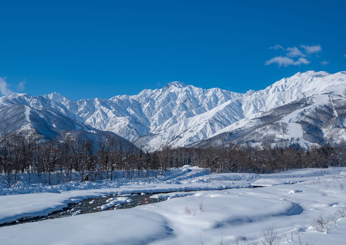 Snøkledde fjell under blå himmel – vinteridyll i Hakuba, Japan