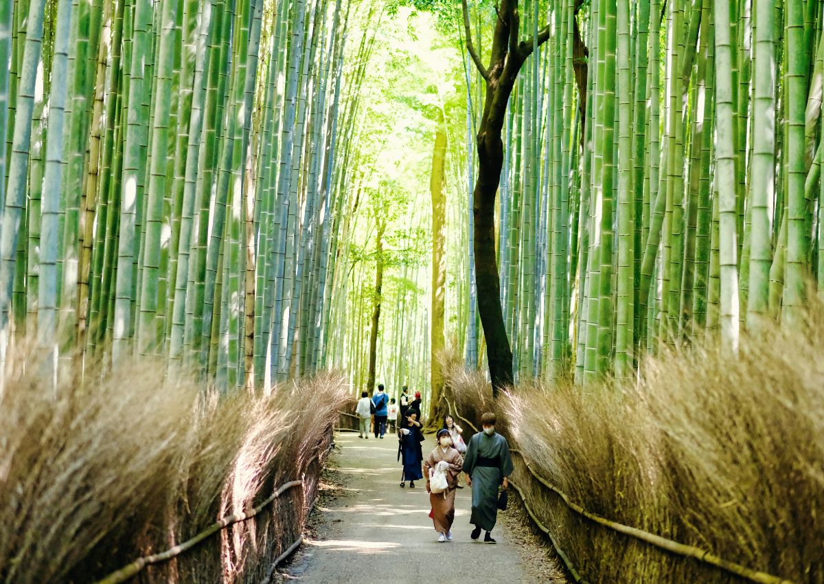 Arashiyama, Kyoto, Japan