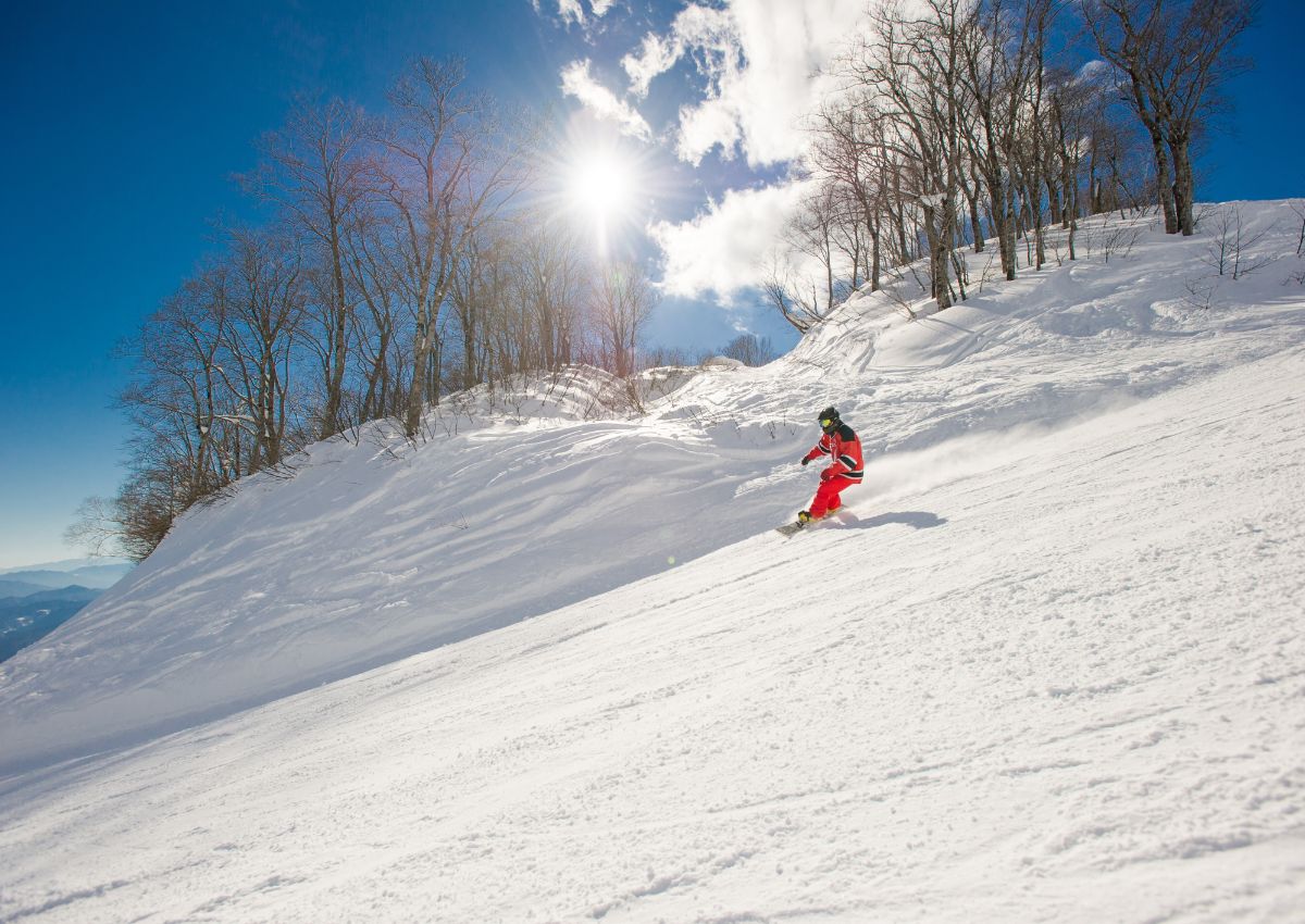 Skiløper som carver i vinterlandskap på japansk fjell
