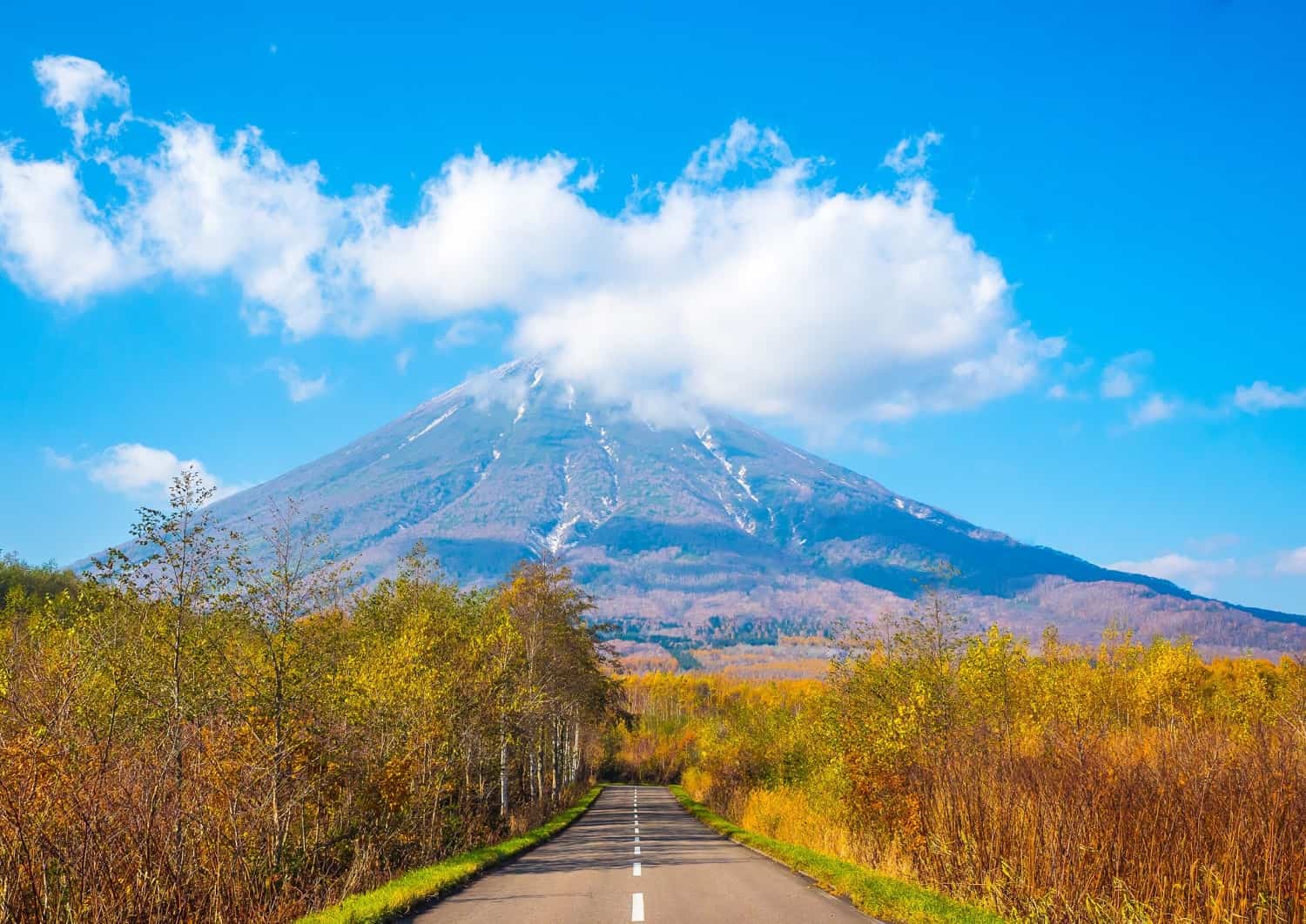 Vei i Niseko, Hokkaido om sommeren