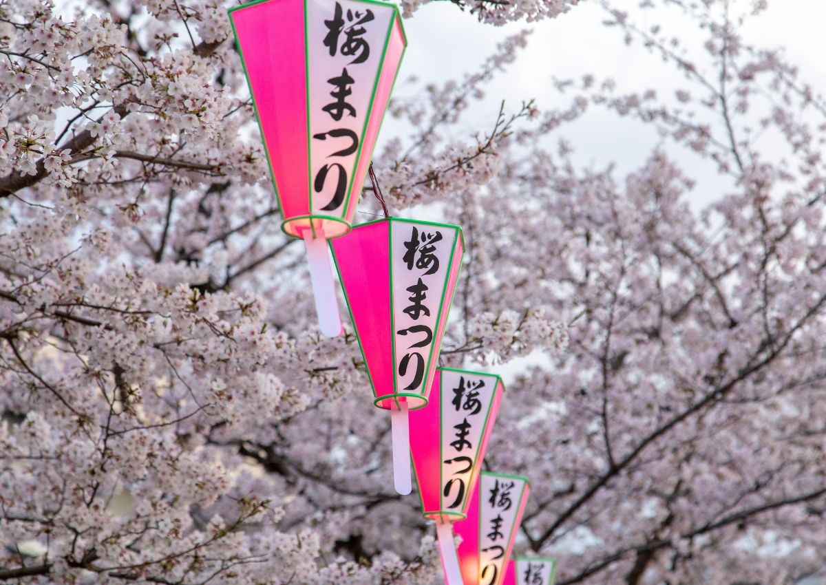 Lanterner og kirsebærblomster