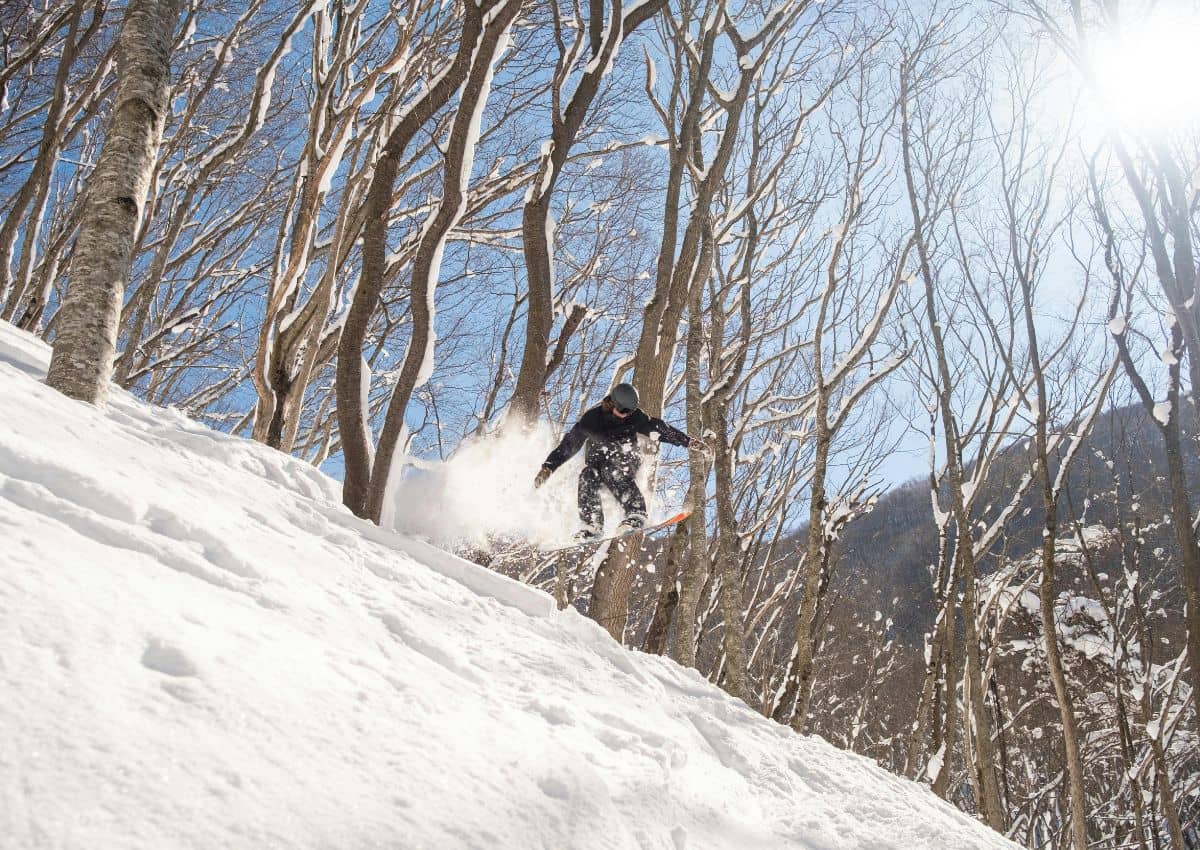 Snowboardkjører i Hakubas skianlegg, Japan