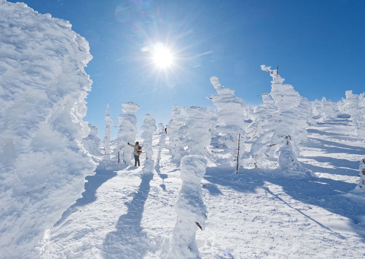 Snømonstre i Yamagata, Japan