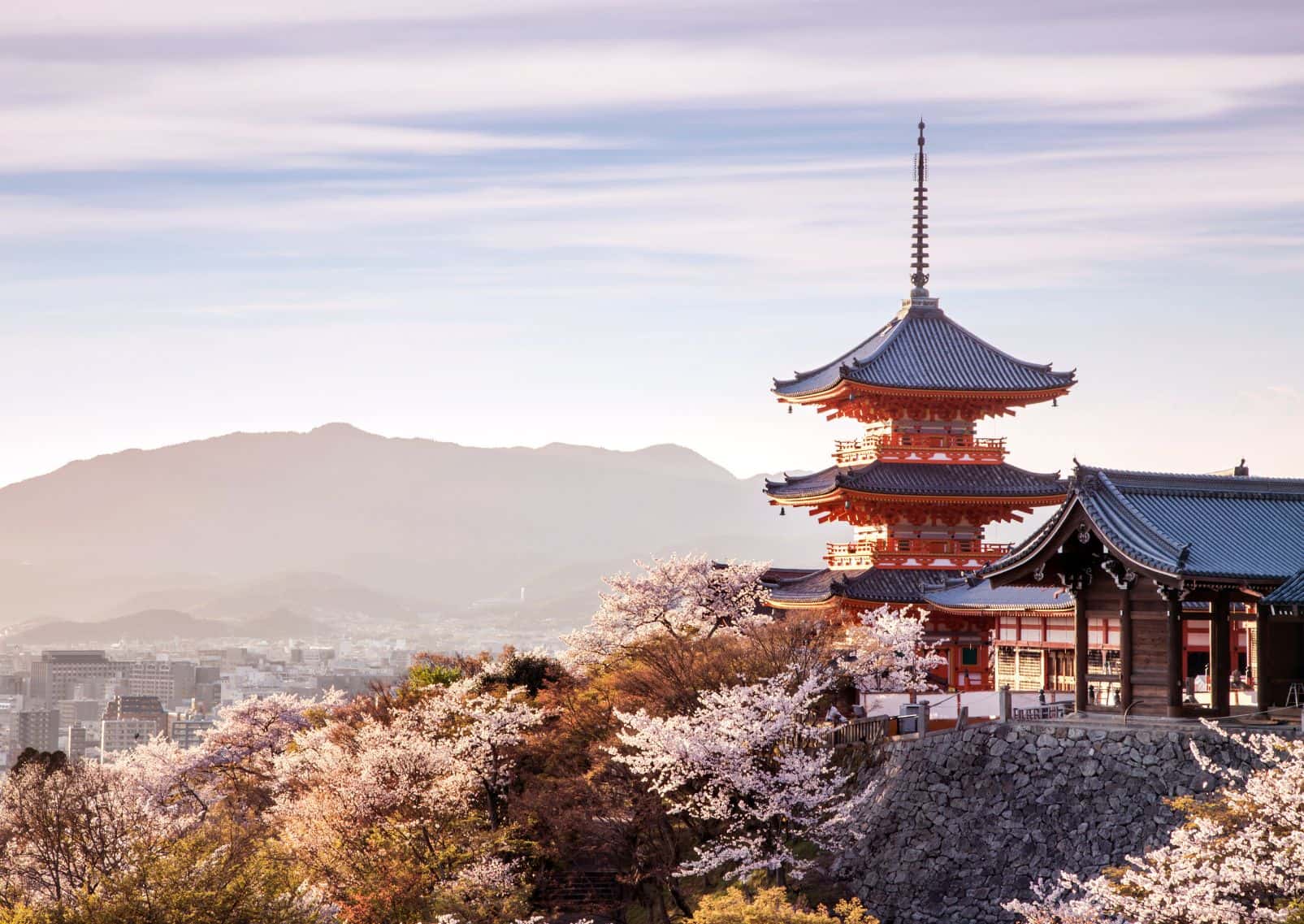 Tempel og kirsebærblomster med utsikt over Kyoto, Japan