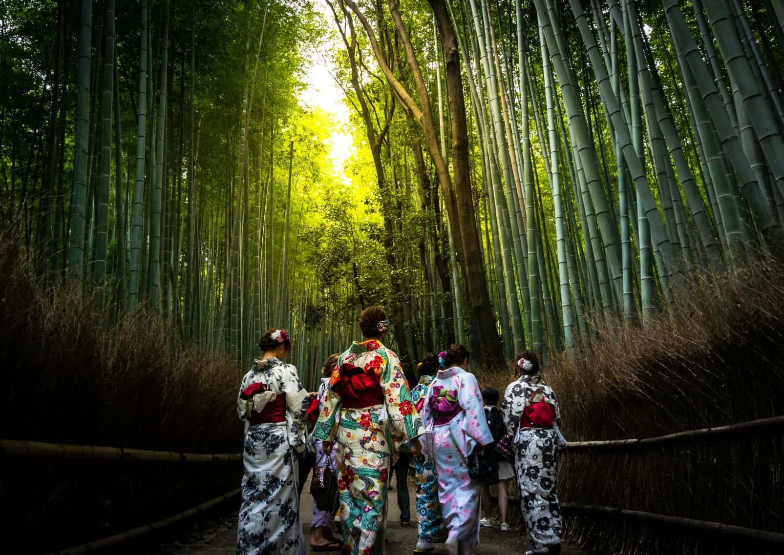Jenter i kimono, Kyoto, Japan