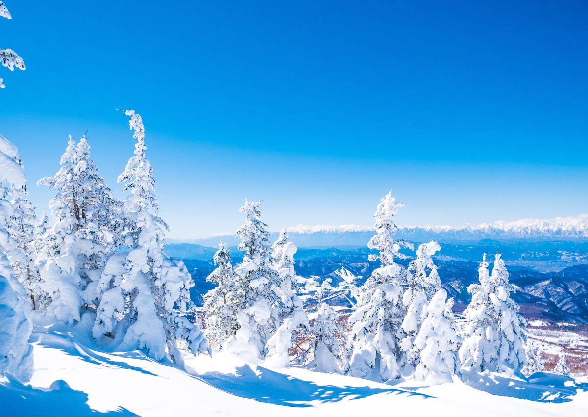 Snømonstre i Sugadaira skianlegg, Nagano, Japan