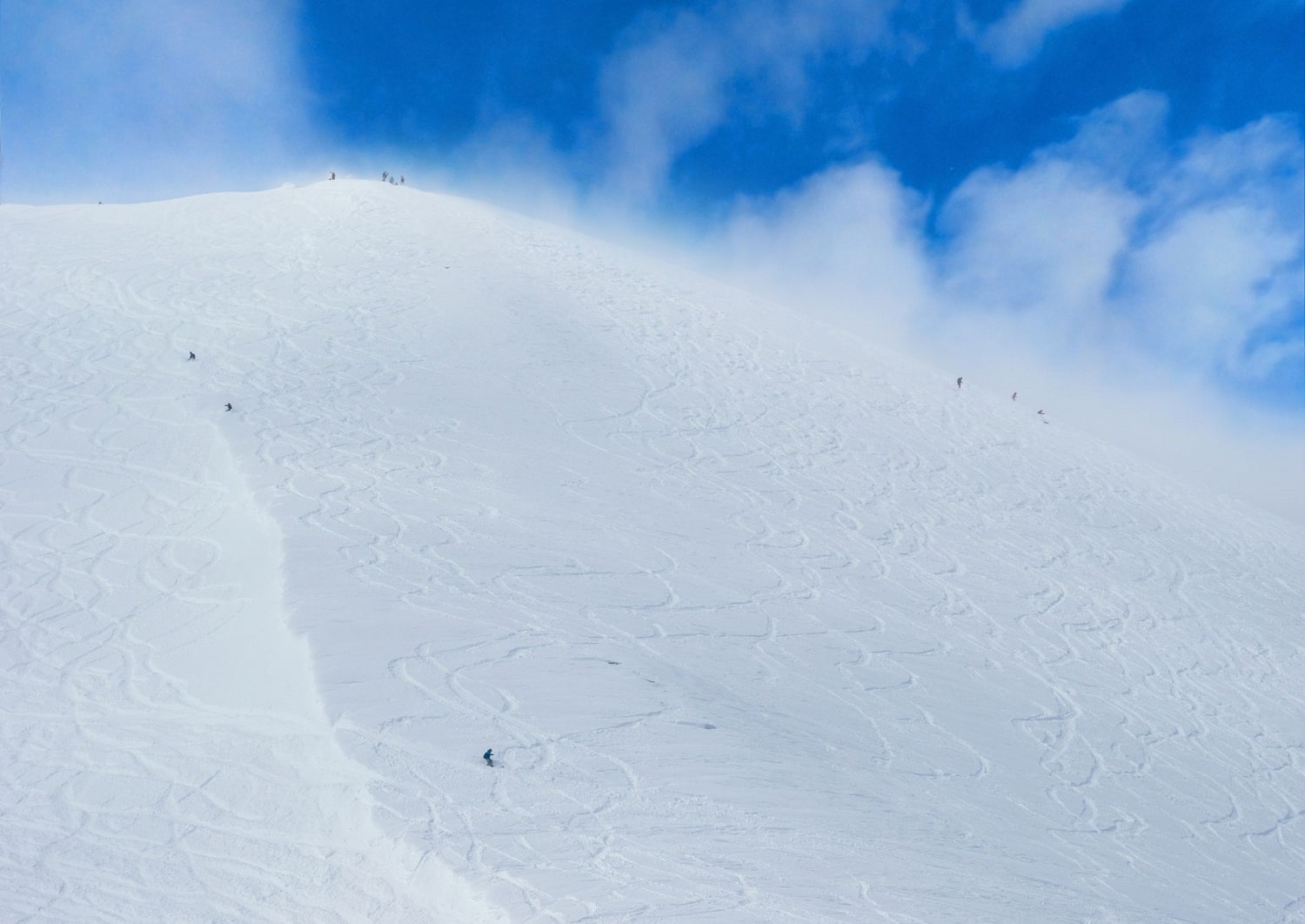 Pudderkjøring i Niseko, Hokkaido, Japan