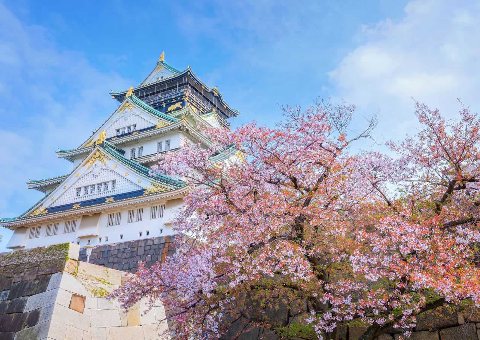 Osaka Castle og kirsebærblomster