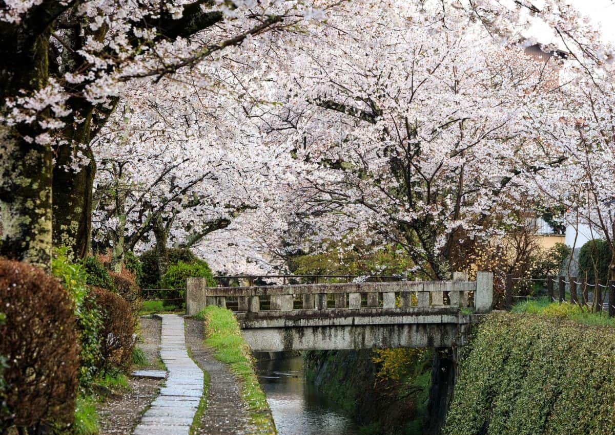 filosofstien i Kyoto
