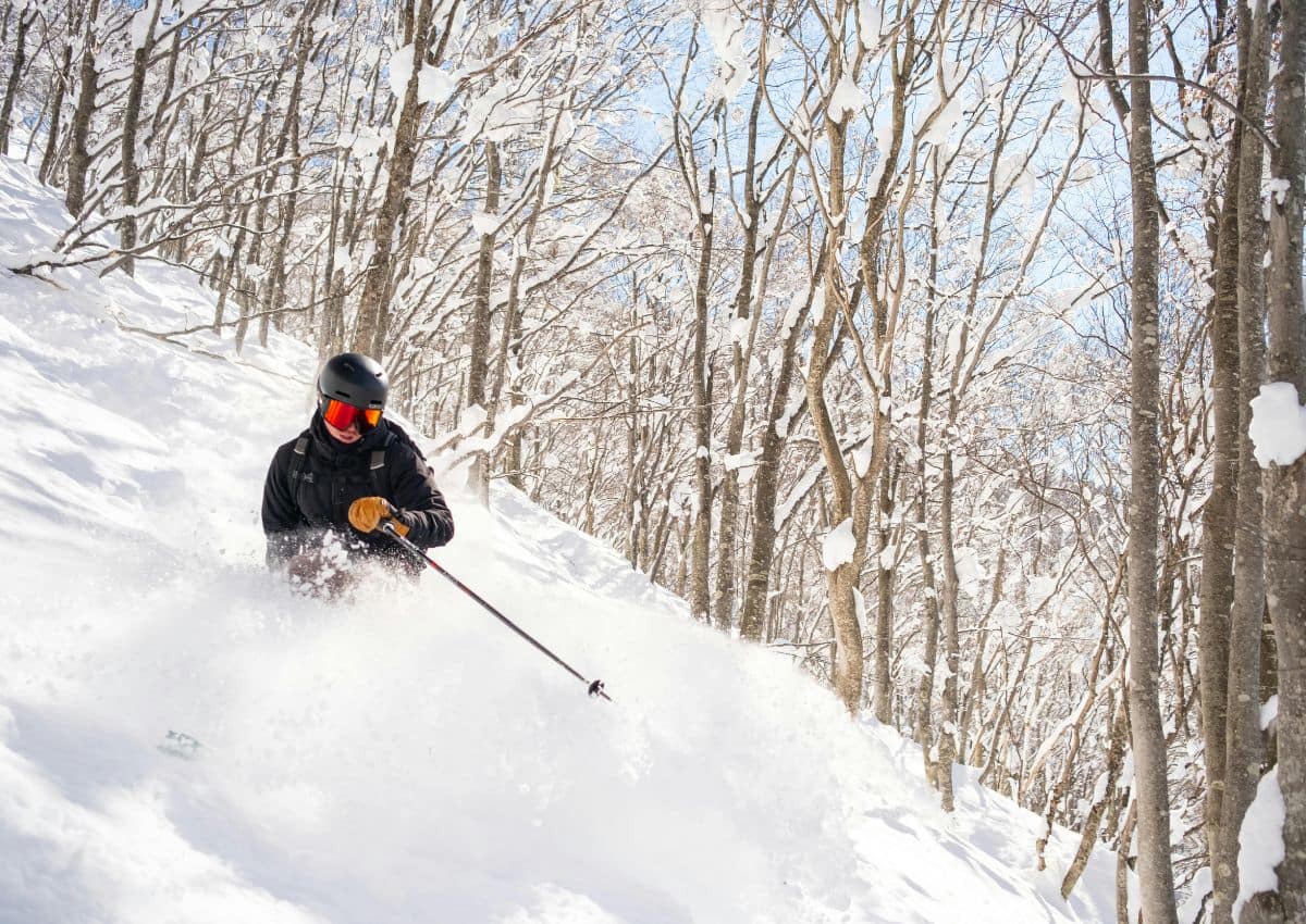 Skogskjøring i skistedet Tsugaike Kogen, Hakuba, Japan