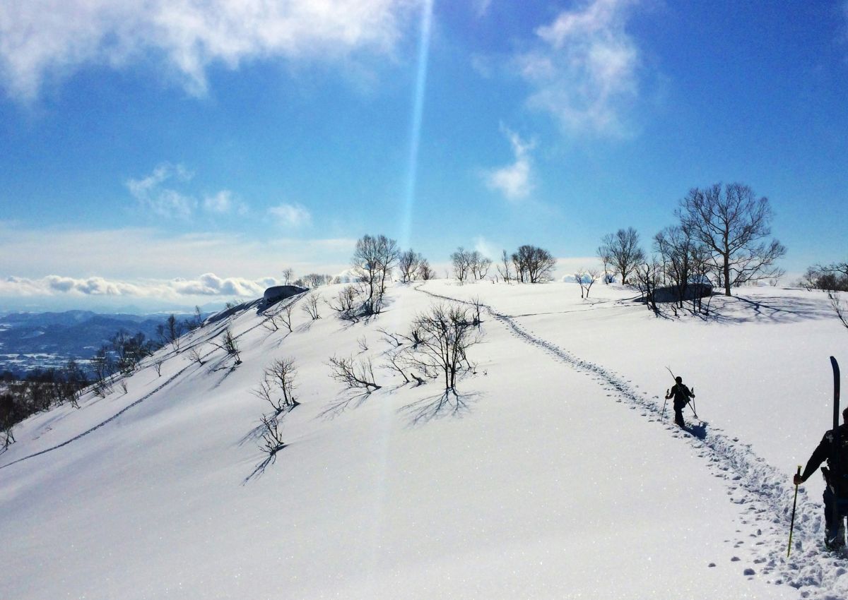 Frikjører i Nisekos fjellterreng på Hokkaido