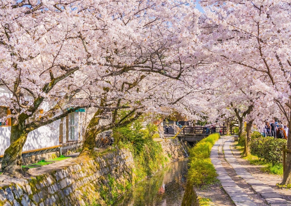 Philosopher's Path om våren, Kyoto, Japan