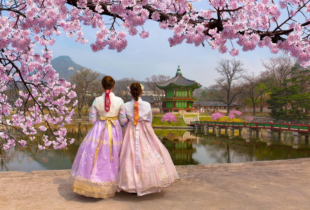 To kvinner i hanbok nyter sakuraens skjønnhet, Korea