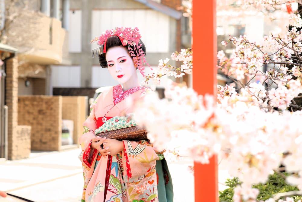 Maiko på sakuravei med rosa paraply