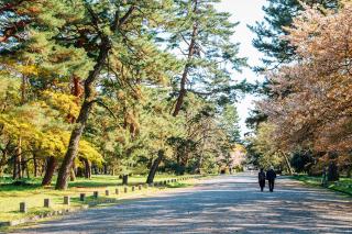 Kyoto Gyoen nasjonalhage