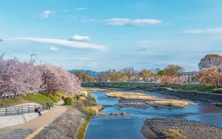 Kamogawa-elvebredden