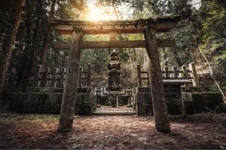 Heldagstur til Mt. Koya