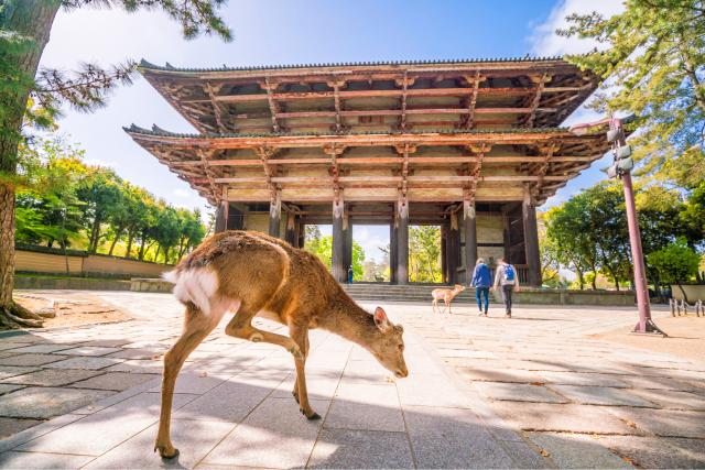 Togaji-tempelet, Nara