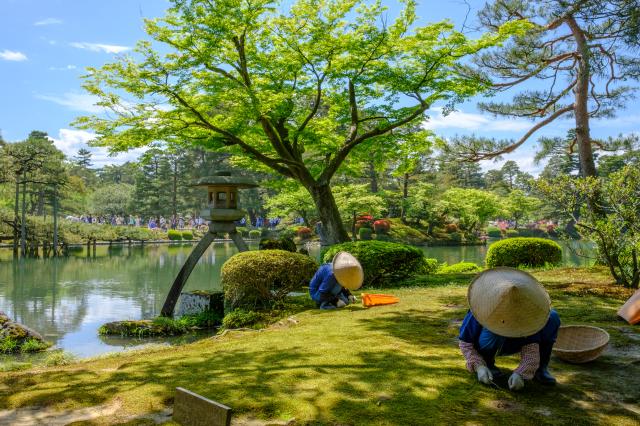 Kenrokuen havn, Kanazawa