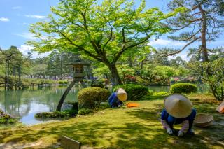 Kenrokuen havn, Kanazawa