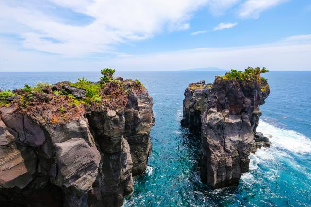 Jogasaki-kysten, Izu-halvøya