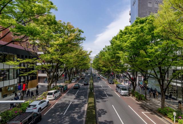 Ometosando street, Tokyo