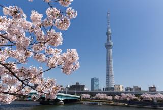 Skytree Tower, Tokyo