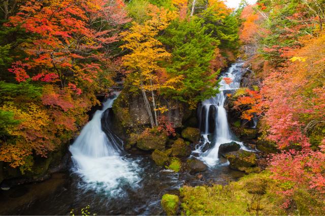 Ryuzu-fossen, Nikko