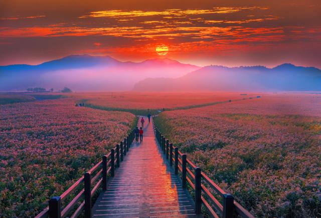 Suncheon-bukten, Yeosu
