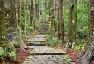 Kumano Kodo pilegrimsreise