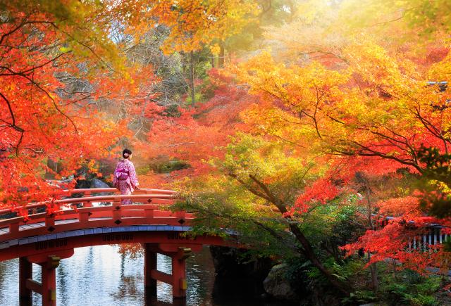 Japan om høsten