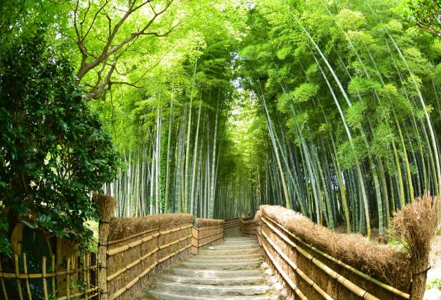 Fushimi Inari-helligdommen, Kyoto