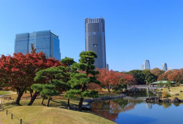 Hamarikyu havn, Tokyo