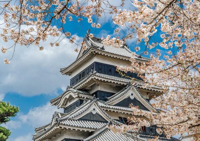 Matsumoto kirsebærblomstrer om våren