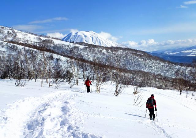 Offpist-kjøring i Niseko