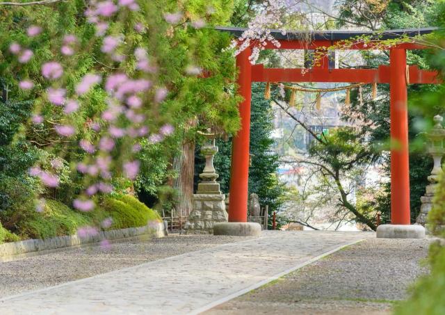 Torii-porten, Osaki Hachimangu-helligdommen, Sendai