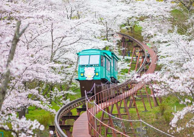 Monorail i Funaoke Castle Ruin Park, Sendai