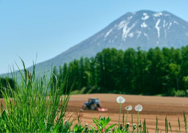 Gård under Yotei-fjellet, Niseko