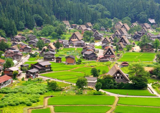Ogimachi Village om sommeren