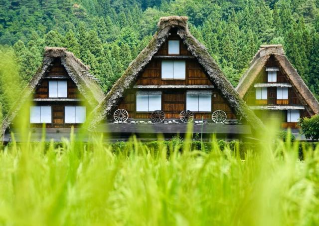Tradisjonelle gassho-zukuri-hus, Shirakawa-go