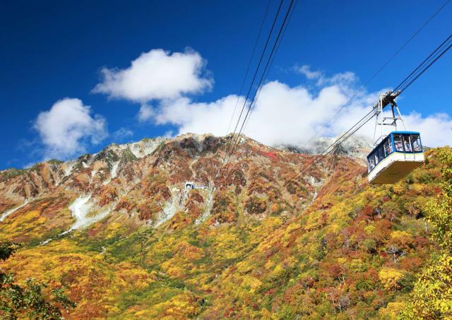 Tateyama taubane