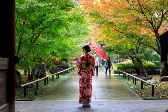 Japansk kvinne i rød kimono med paraply i hånden går rolig gjennom en offentlig park med høstløv i Japan