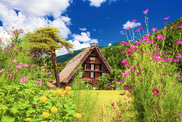 Tradisjonelle gårdshus om sommeren, Shirakawago