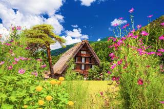 Tradisjonelle gårdshus om sommeren, Shirakawago