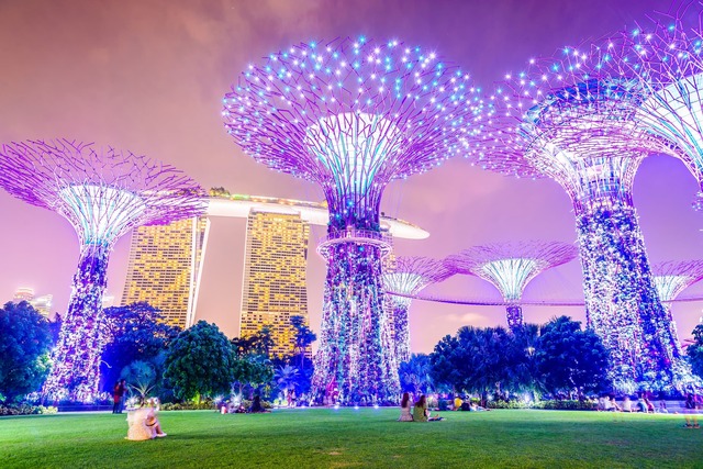 Oplyste supertrær, Singapore