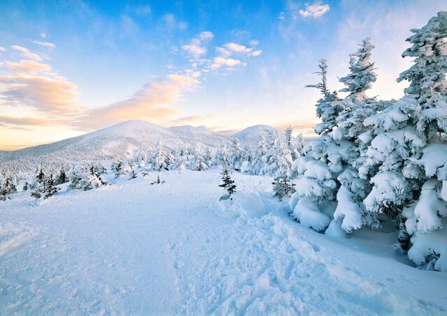 Vinterlandskap på et fjell i Aomori, Japan