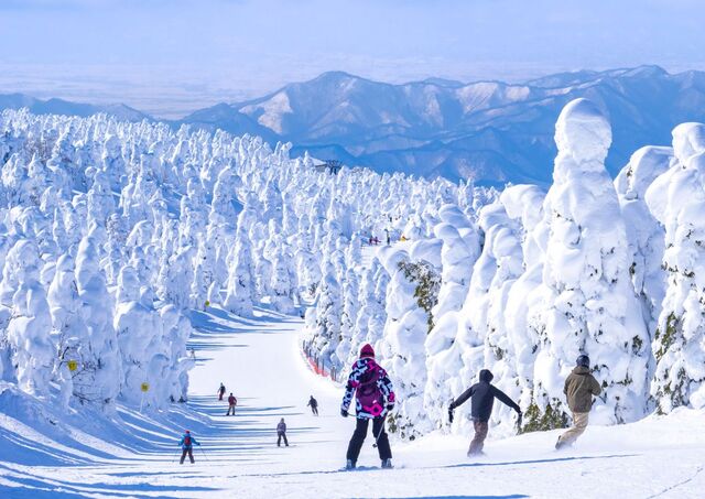 Reisende som nyter skikjøring i Japans snødekte landskap
