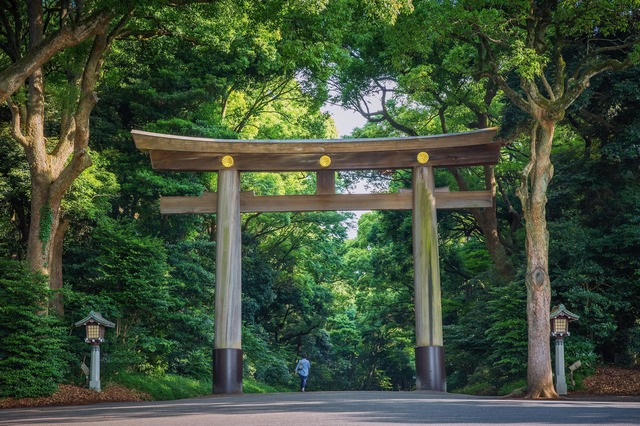 Meiji-helligdommen, Tokyo