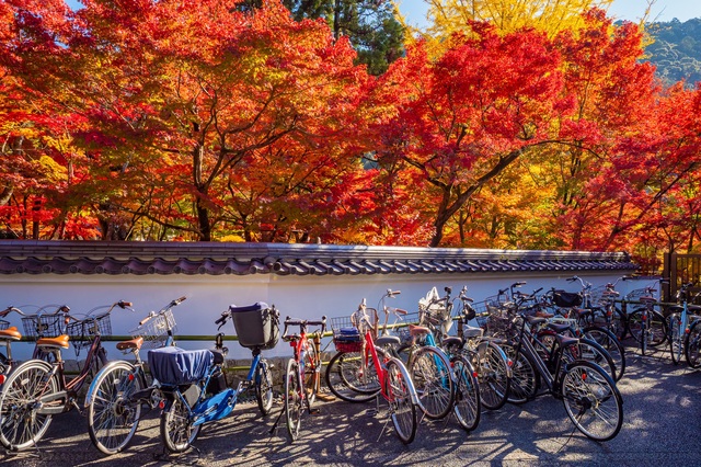 Sykler i Kyoto
